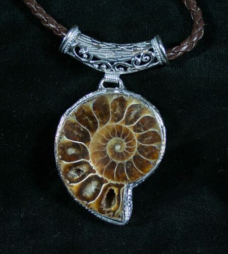 Ammonite Necklace - Million Year Old Fossil #7443